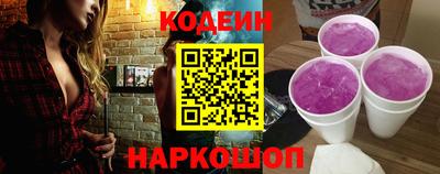 индика Камышлов