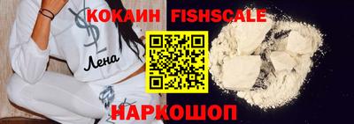 индика Камышлов