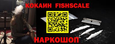 индика Камышлов
