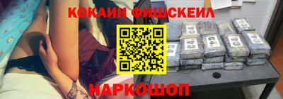индика Камышлов
