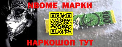 индика Камышлов