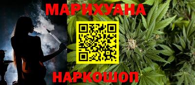 индика Камышлов