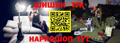 индика Камышлов