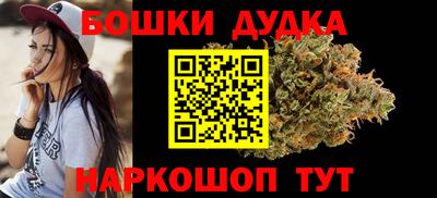 индика Камышлов