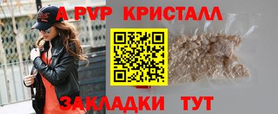 индика Камышлов