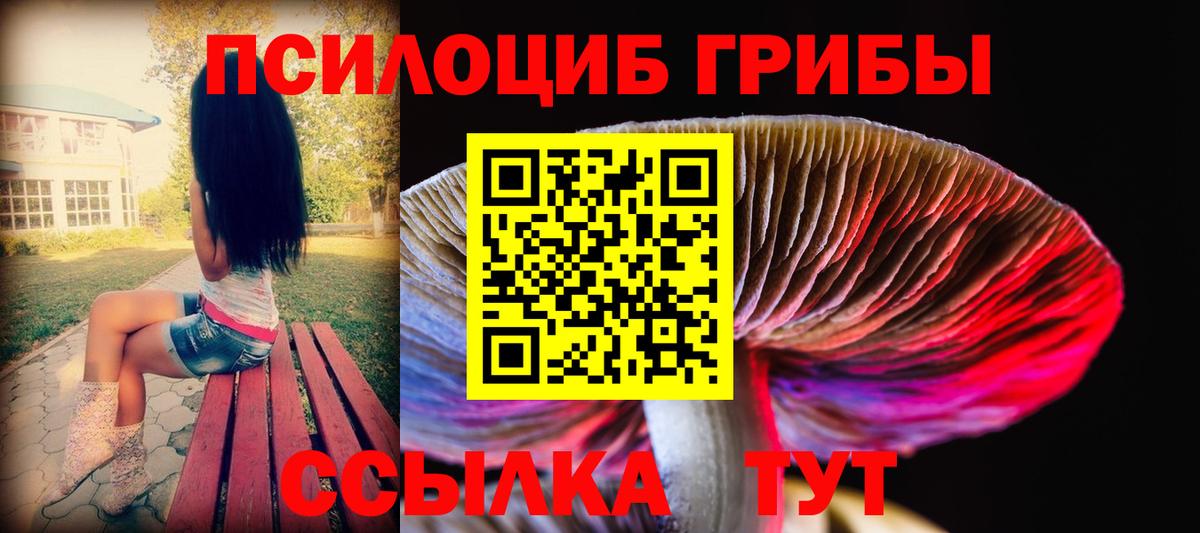 Псилоцибиновые грибы ЛСД Красноярск