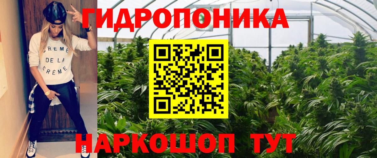Бошки Шишки сатива  Канабис Ganja  Красноярск  Канабис LSD WEED  Вход с VPN  Бошки марихуана Ganja 